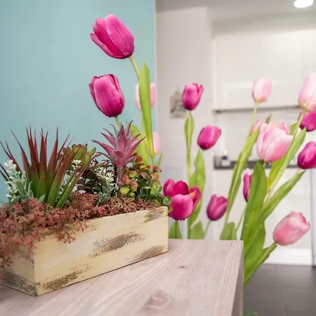 Apartmán Holiday Piscina Wifi By Lightbooking